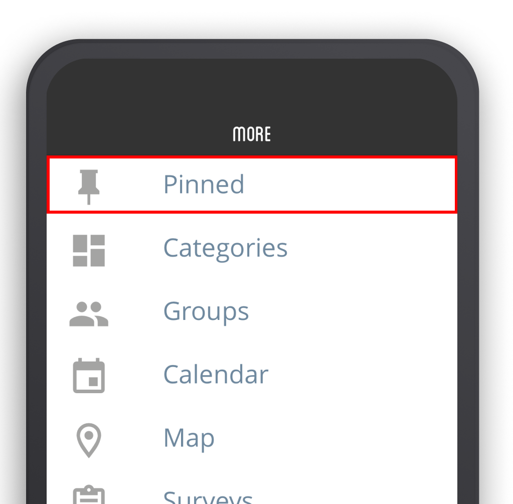 App - Pins - More - Pinned